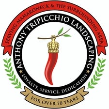 A. Tripicchio Landscaping in White Plains, NY