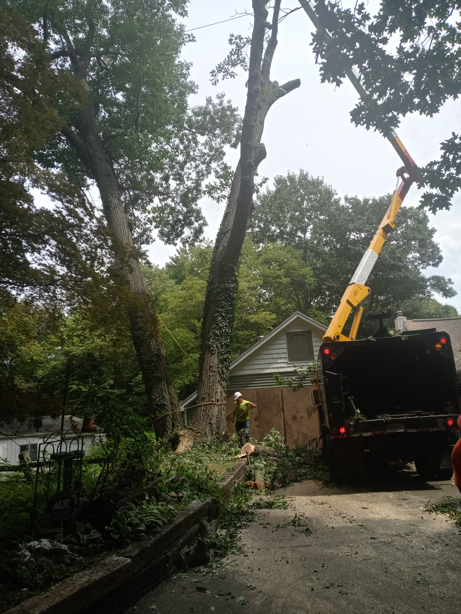 Ruby's Tree Service in Lansing, MI