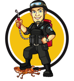Pest Patrol Pittsburgh, Inc. in Pittsburgh, PA