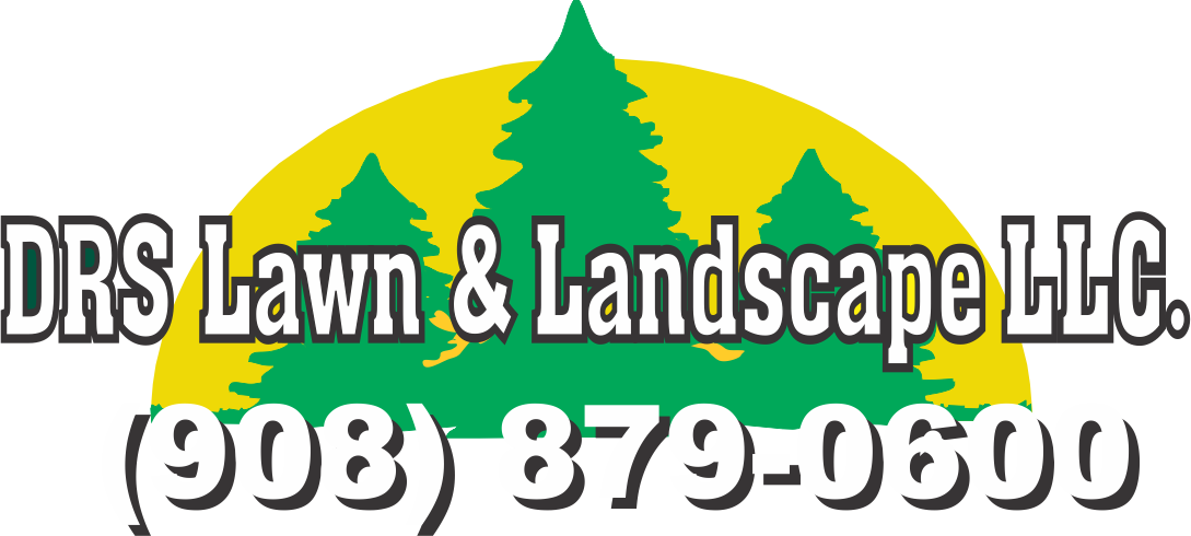 Drs Lawn & Landscaping LLC in Long Valley, NJ