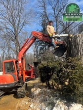 L&T Landscaping And Tree Services, Llc in Danbury, CT