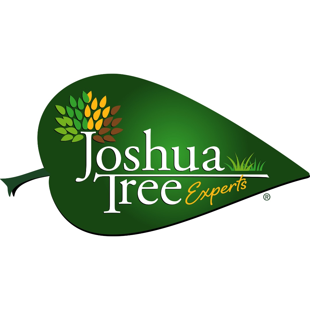 Joshua Tree Experts in Morristown, NJ