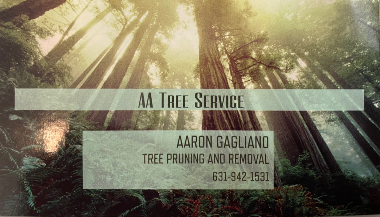 AA Tree Service in Ronkonkoma, NY