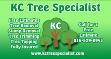 KC Tree Specialist in Kansas City, MO