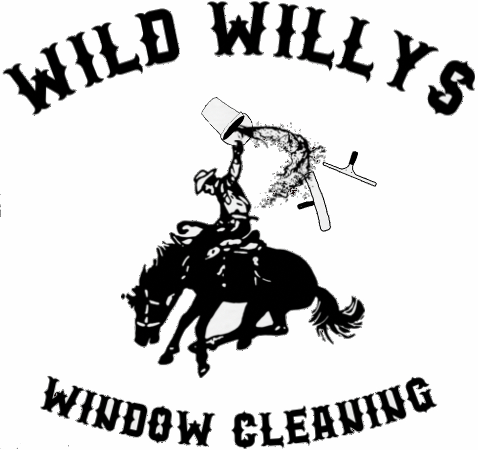 Wild Willy's Window Cleaning in Seattle, WA