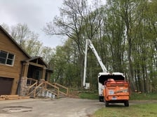 Callender Tree Service in Rockford, MI