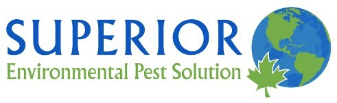 Superior Environmental Pest Solutions in Whitestone, NY