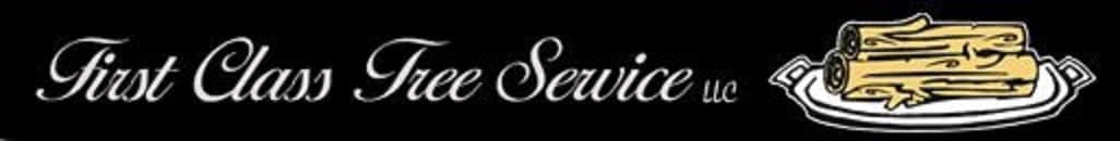 First Class Tree Service And Landscaping Llc in Medford, NJ