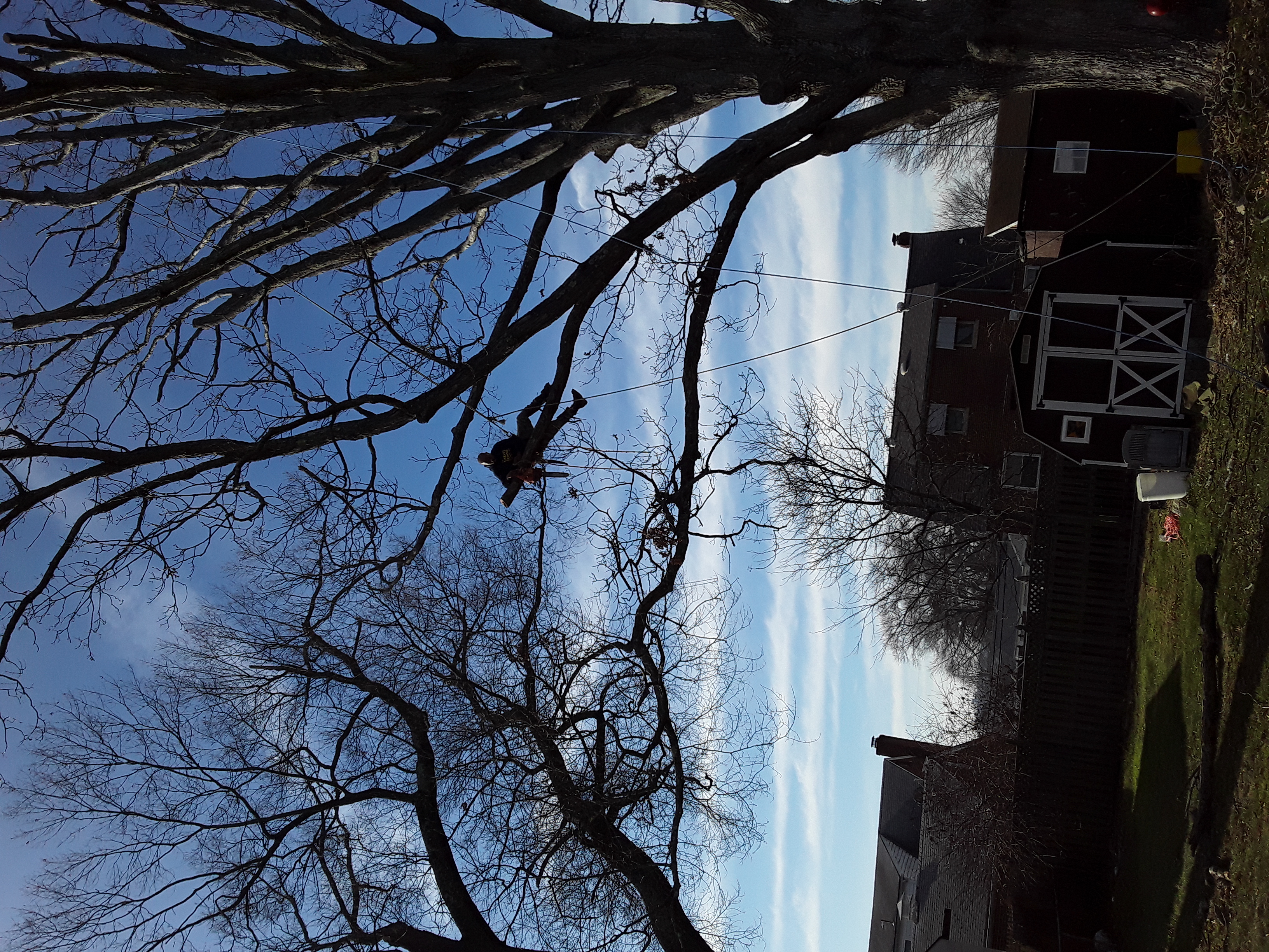 LH landscaping and tree removal in Rapidan, VA
