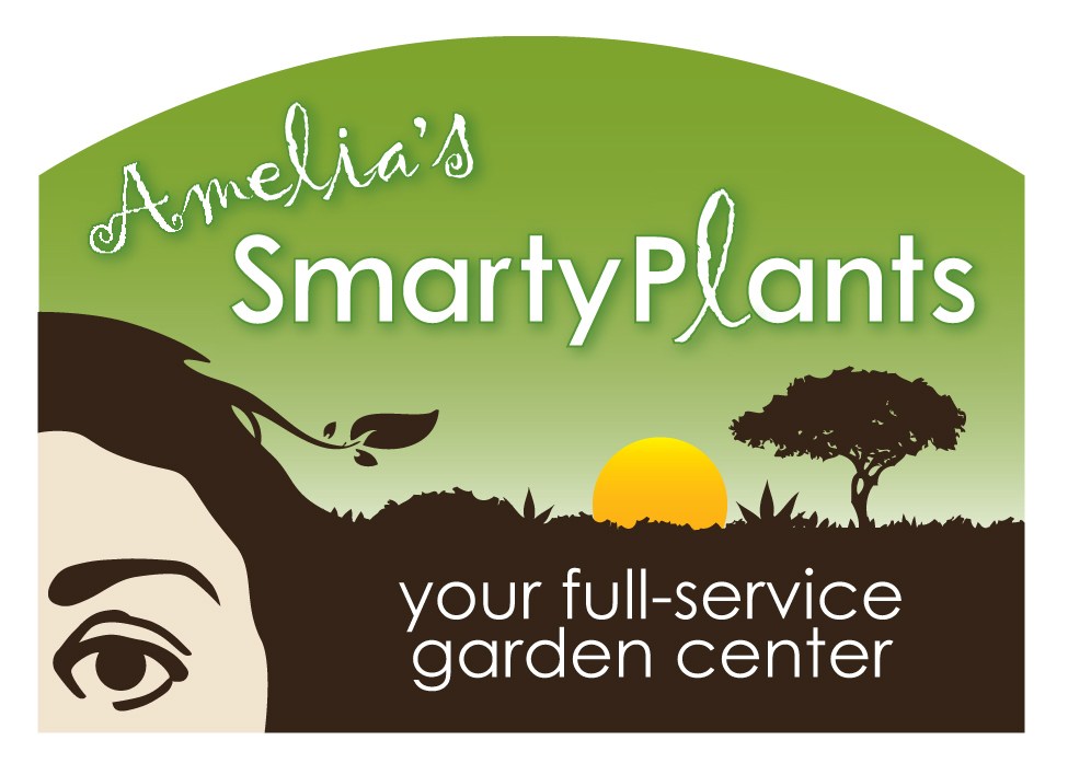 Amelia's SmartyPlants in Lake Worth, FL