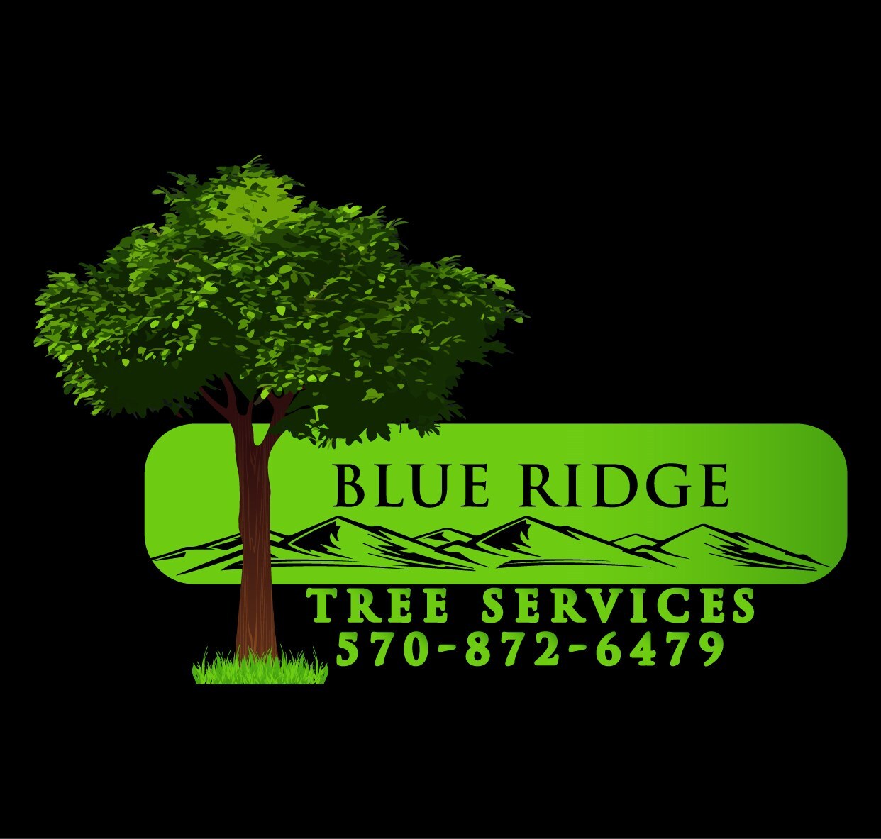 Blue Ridge Tree Services - Outdoor & Landscaping Reviews in Dingmans ...