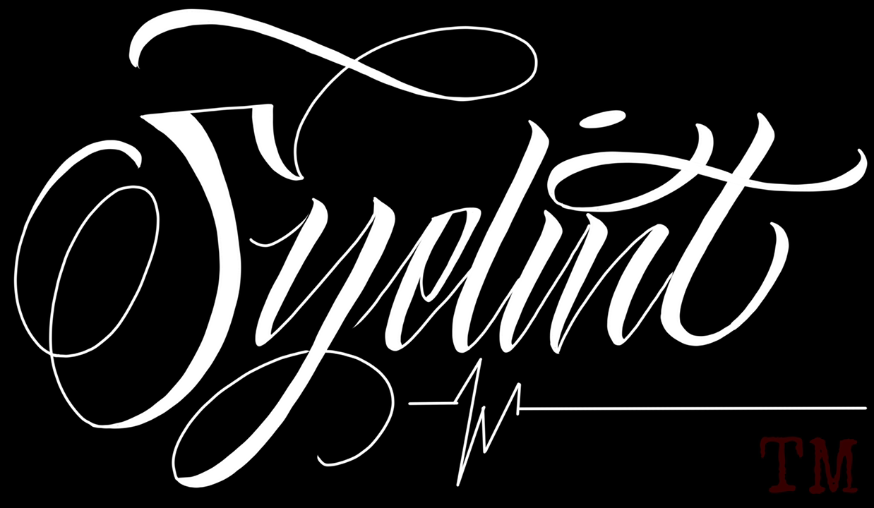 Syelint Maintenance in West Palm Beach, FL