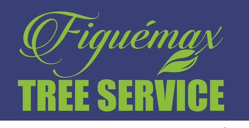 Figuemax Tree Service LLC in Somerdale, NJ