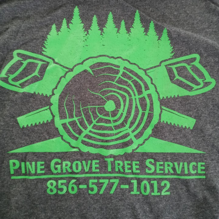 Pine Grove Tree Service in Clementon, NJ