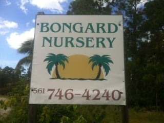 Bongard Landscaping & Nursery in Jupiter, FL