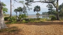 Brocam Landscaping, LLC in Hilton Head Island, SC