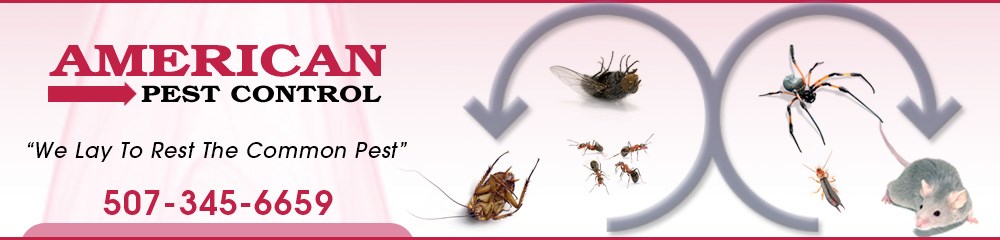 american pest control in Mankato, MN