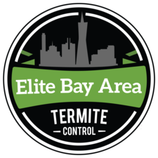 Elite Bay Area Termite Control in Belmont, CA
