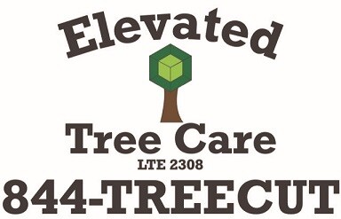 Elevated Tree Care in Hollywood, MD