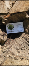 Rooted Arbor Tree Care, LLC in Columbiaville, MI