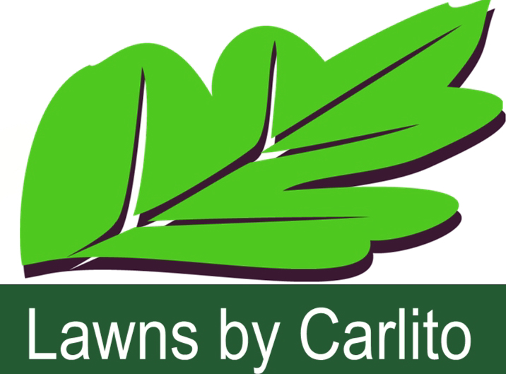 Lawns by Carlito Inc. in Durham, NC