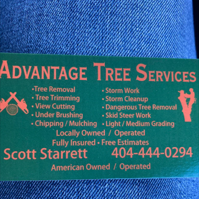 Advantage Tree Service in Blue Ridge, GA