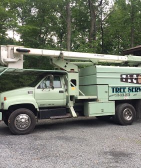 TLC Tree Service in Dingmans Ferry, PA