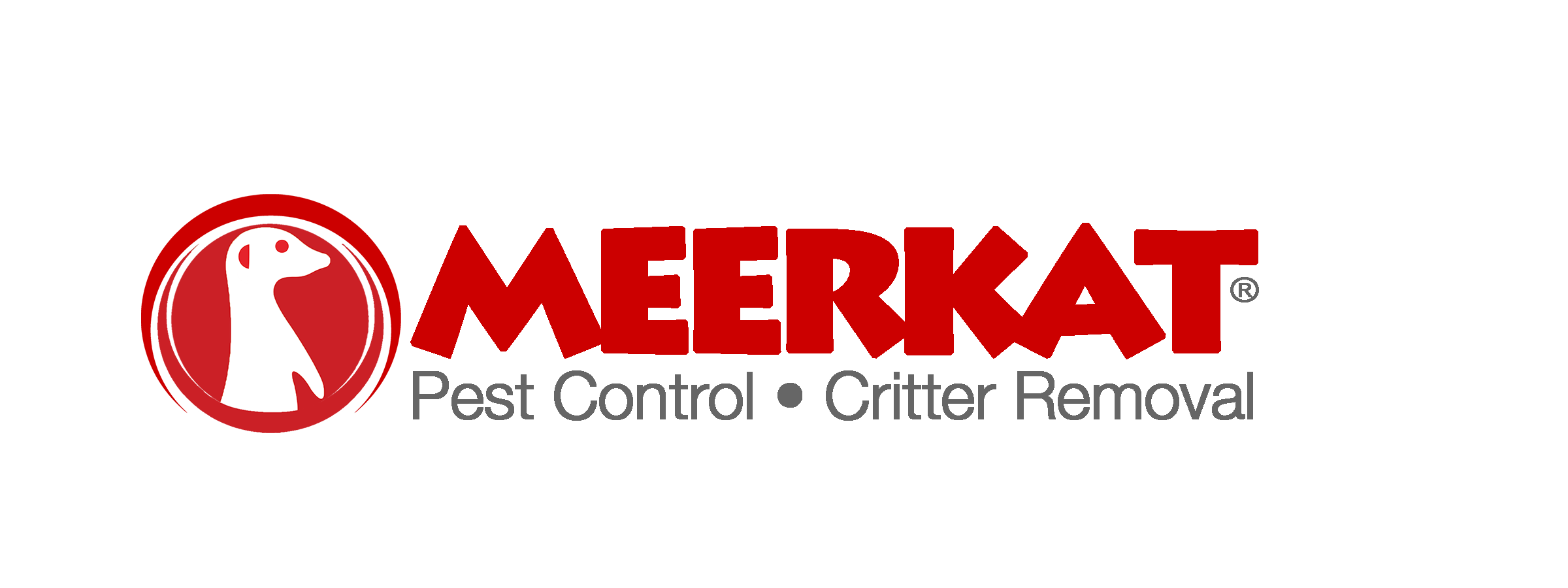 Meerkat Pest Control in Albany, NY