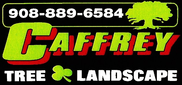 Caffrey Tree & Landscape in Scotch Plains, NJ