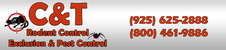 C & T Rodent Control Exclusion & Pest Control in Oakley, CA