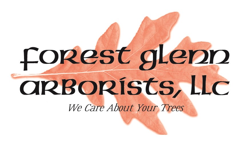 Forest Glenn Arborists LLC in Milford, NJ