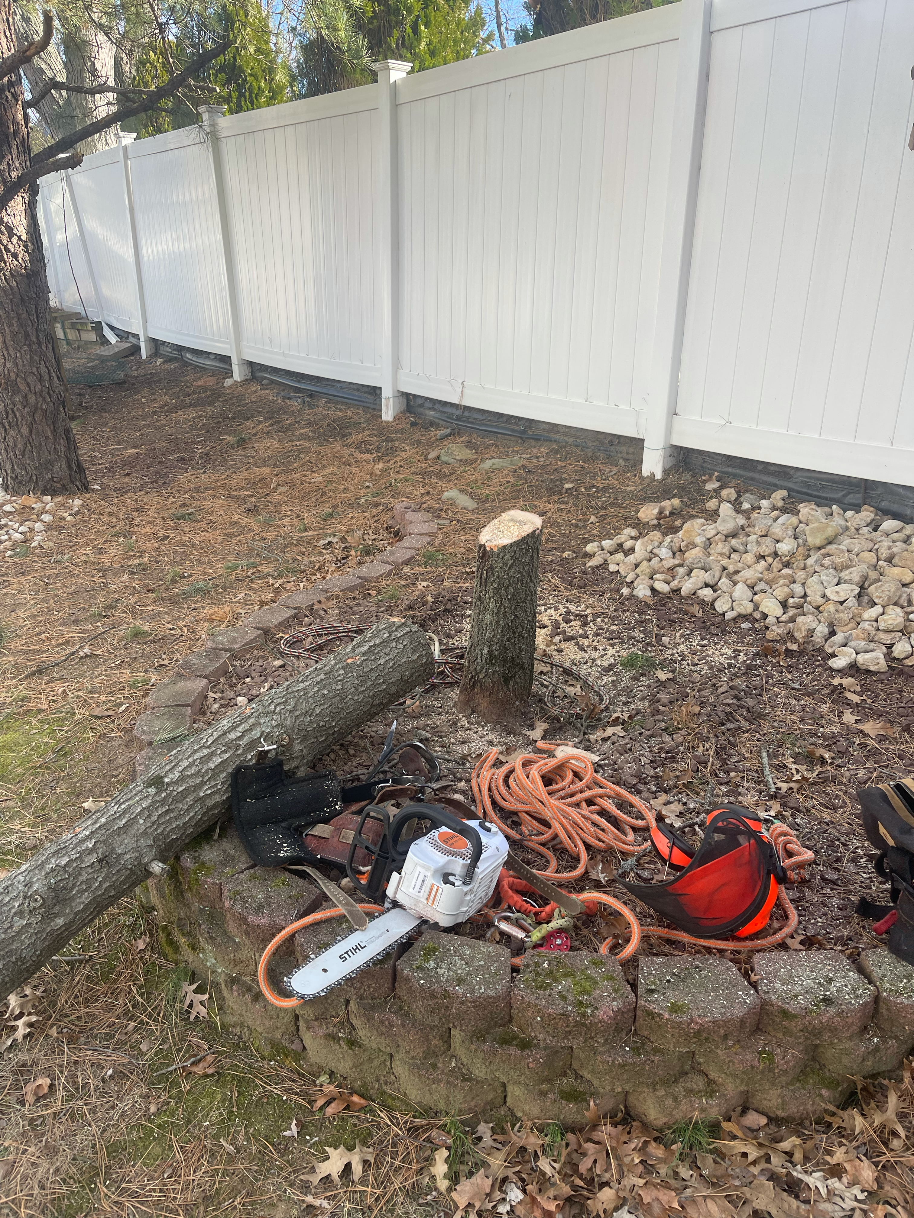 Fresnos Tree Service LLC in New Brunswick, NJ