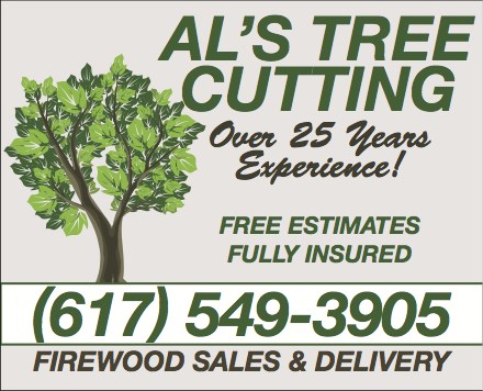 Al'S Tree Cutting in Belmont, MA