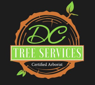 DC Tree Services  in Shelter Island, NY