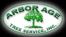 Arbor Age Tree Service Inc in Oceanside, CA