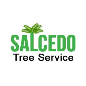 Salcedo Tree Service in Vista, CA