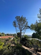 Osvaldo Lawn Services Unlicensed Contractor in Vista, CA