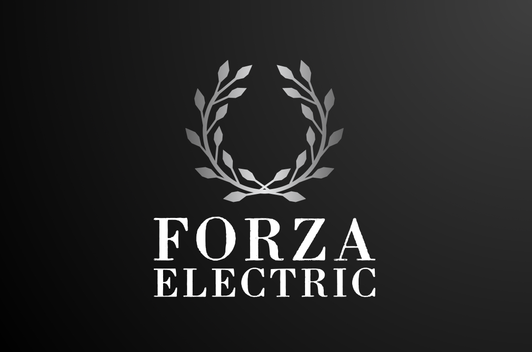 Forza Electric in Holbrook, NY