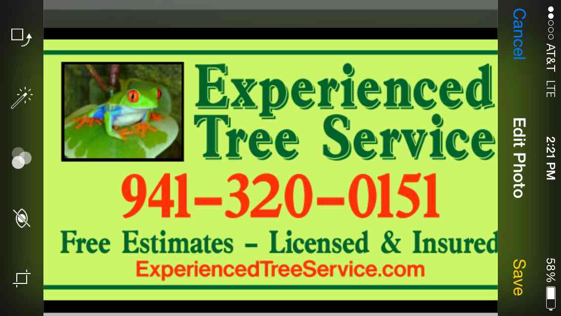 Experienced Tree Service in Sarasota, FL