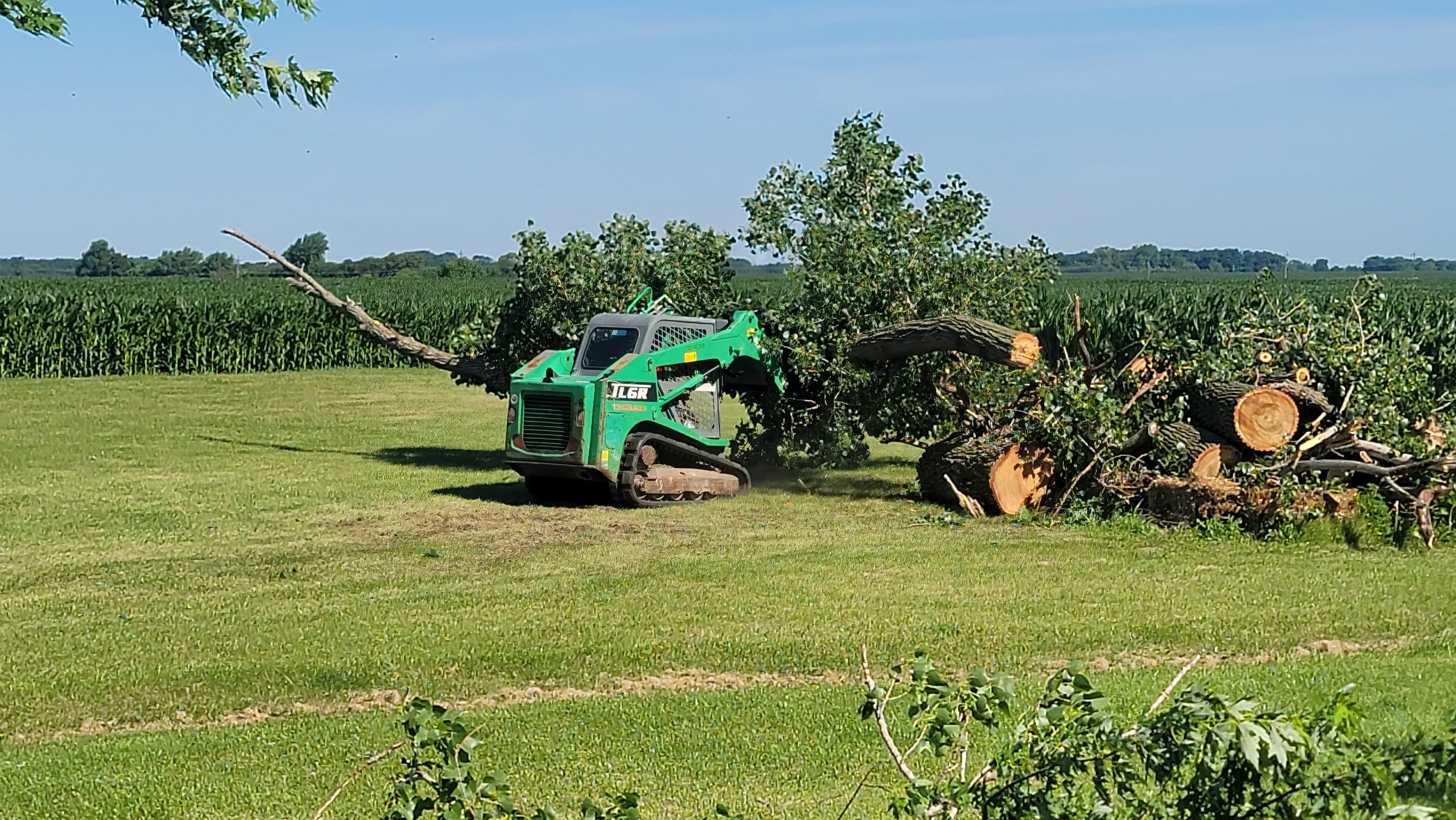D & S Tree Service in Quincy, IL