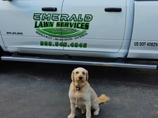 Emerald Lawn Services in Hackettstown, NJ