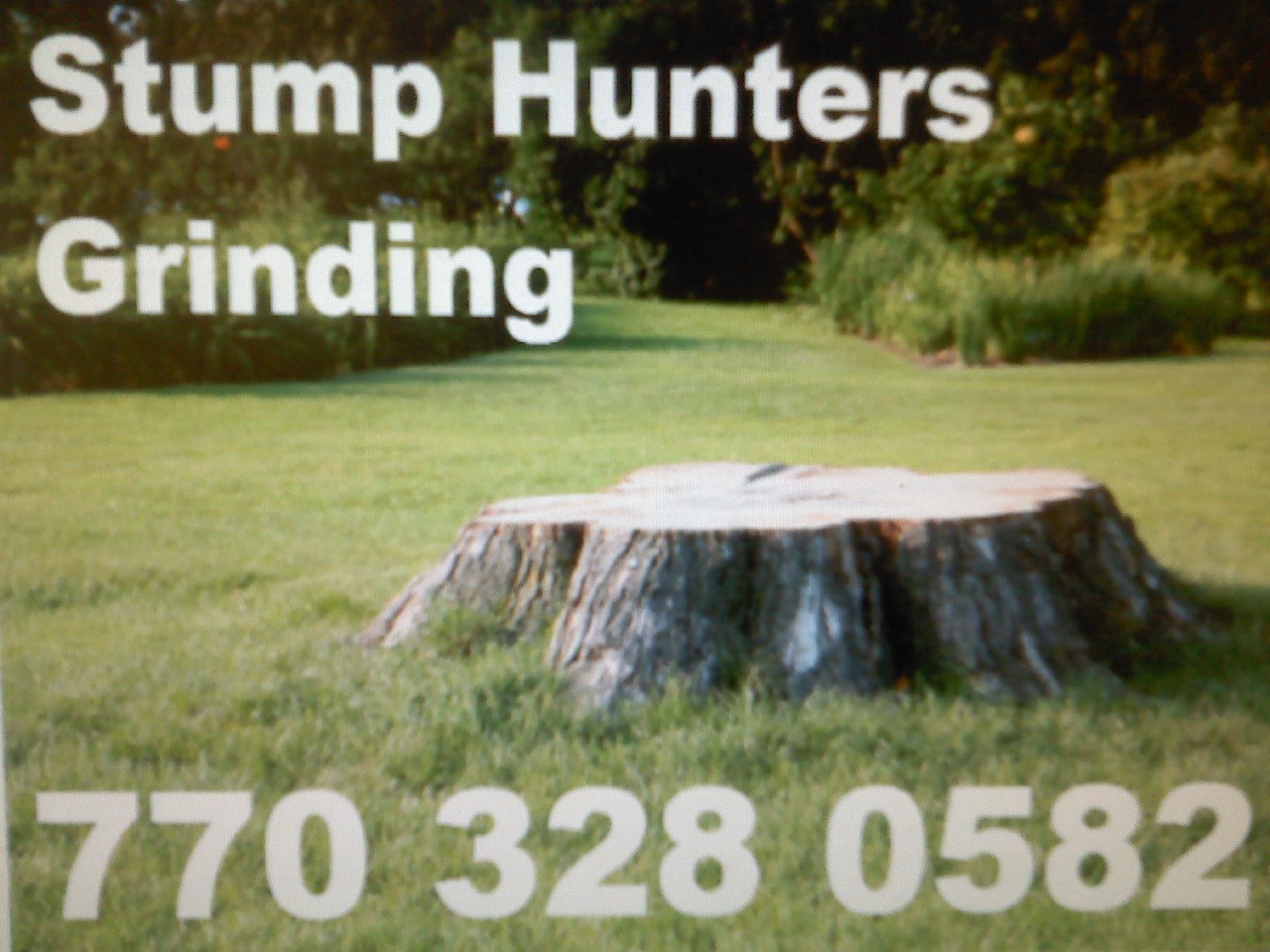 Stump Hunters in Newnan, GA