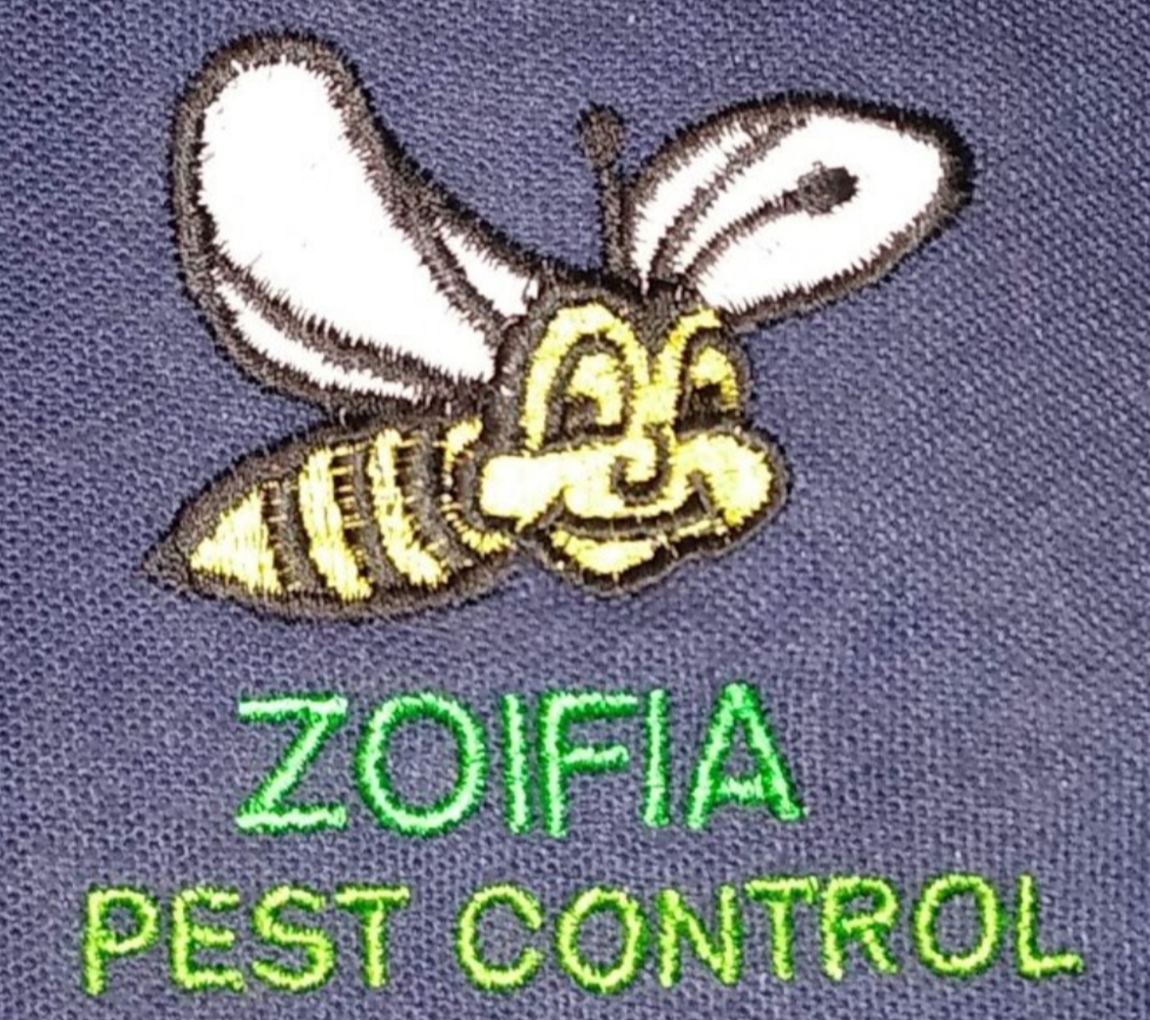 Zoifia Pest Control in Somerville, MA