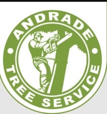 Andrade Tree Service in Lynn, MA