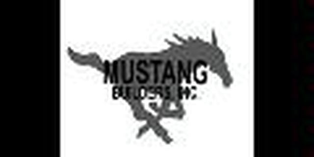 Mustang Builders Inc in Cape Coral, FL