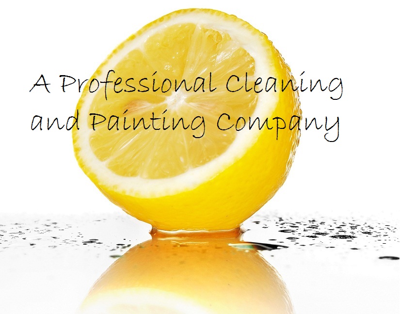 Busy Bee Services Llc in Willmar, MN