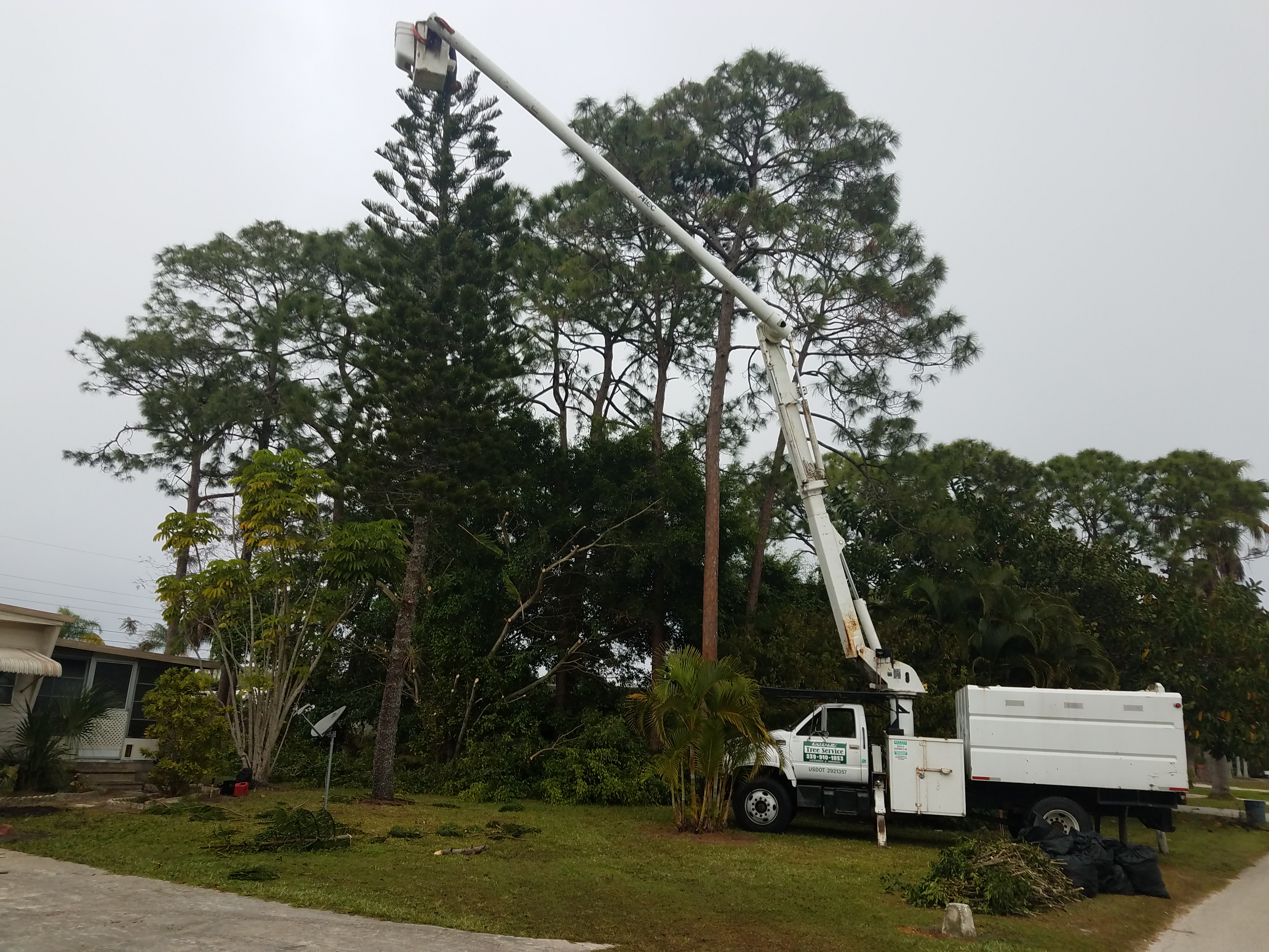 Lopez South Florida Tree Service in Fort Myers, FL