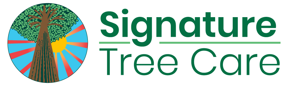 Signature Tree Care LLC in Naples, FL