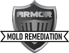 Armor Mold Remediation, LLC in Ulster Park, NY