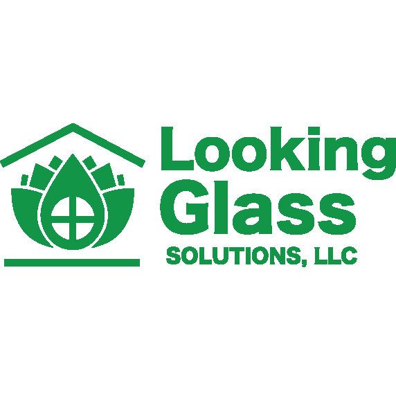 Looking Glass Solutions Llc in Washougal, WA